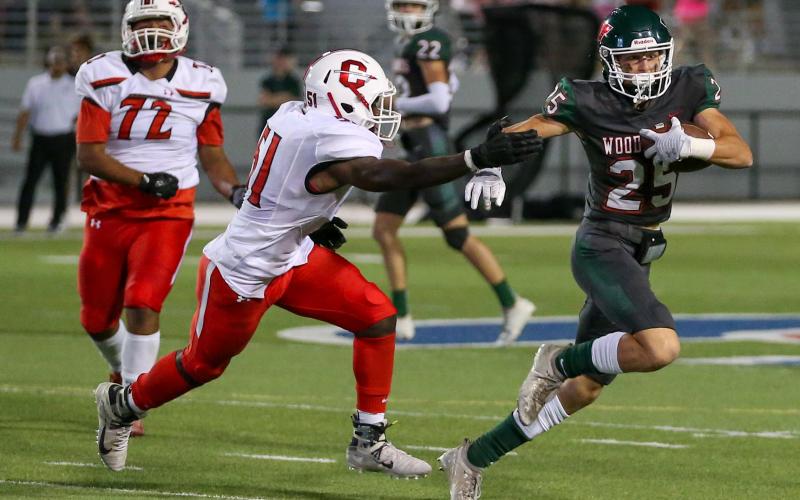 Article Image Alt Text