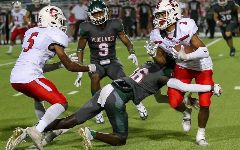 Article Image Alt Text