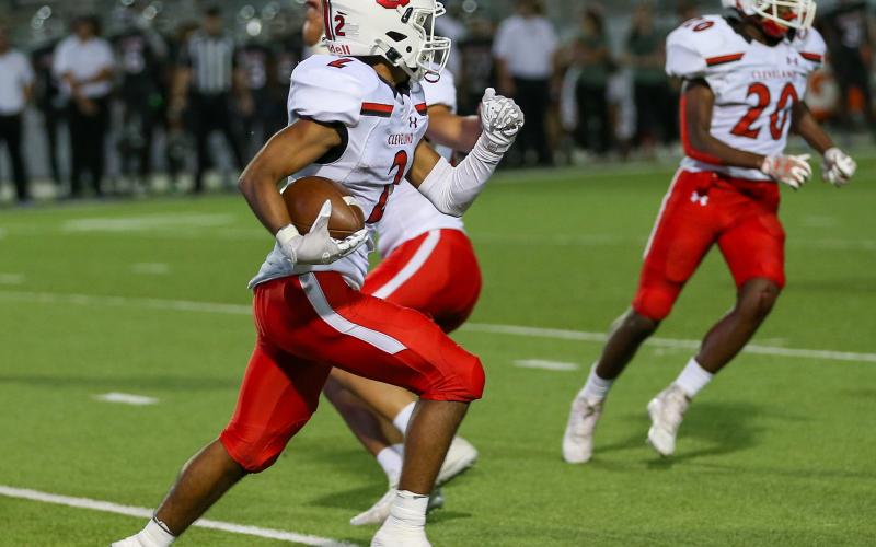 Article Image Alt Text