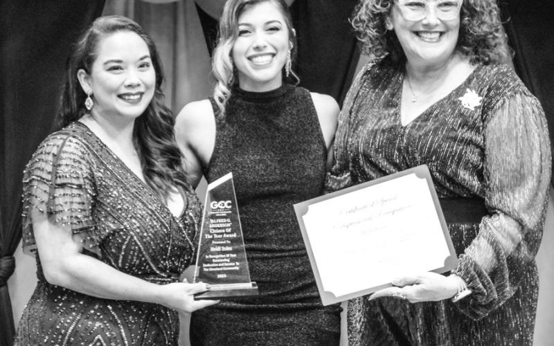 Article Image Alt Text