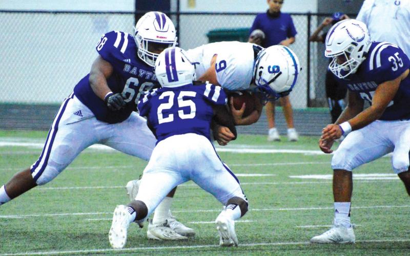 Article Image Alt Text