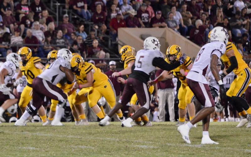 Article Image Alt Text