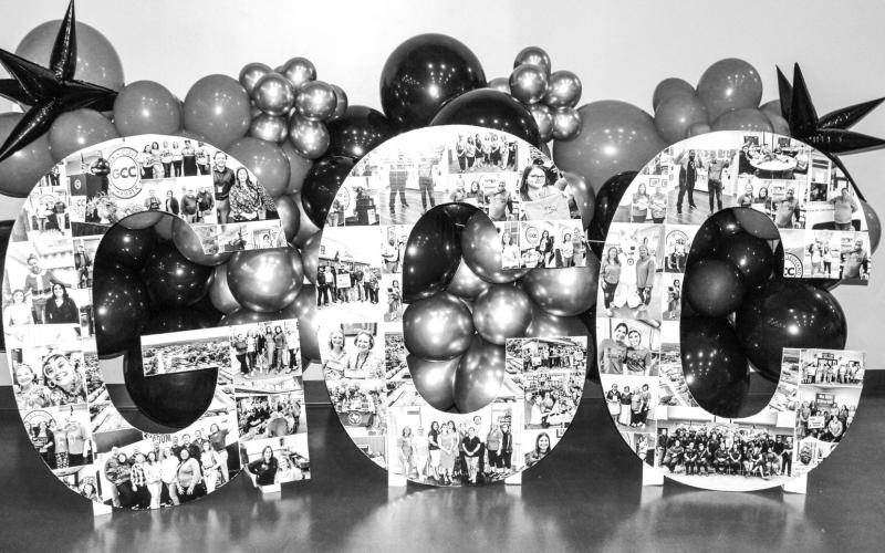 Article Image Alt Text