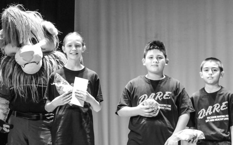 Article Image Alt Text