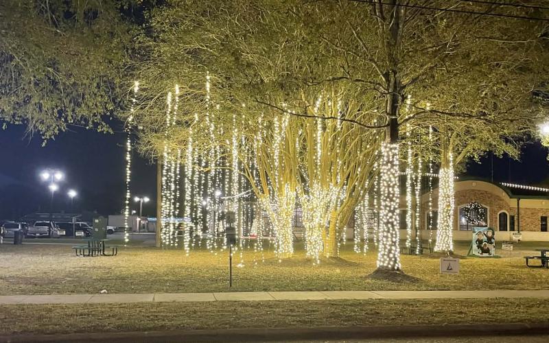 Article Image Alt Text