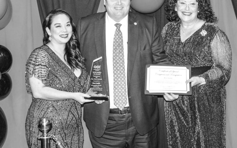 Article Image Alt Text