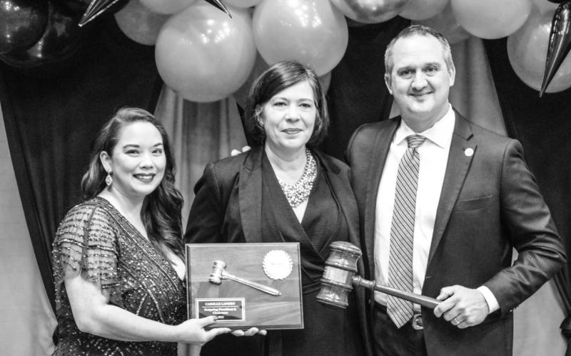 Article Image Alt Text