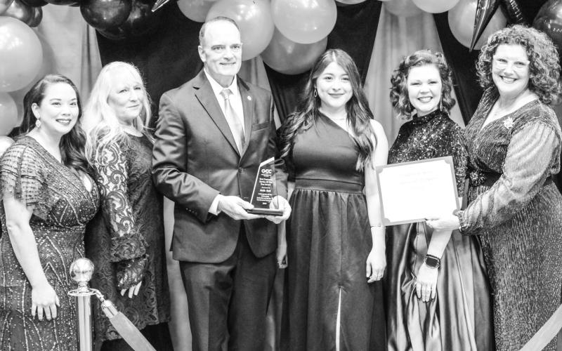 Article Image Alt Text