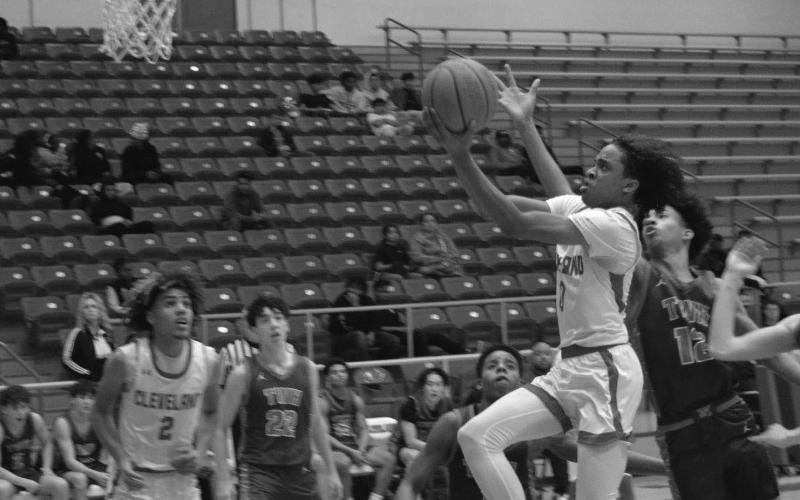 Article Image Alt Text