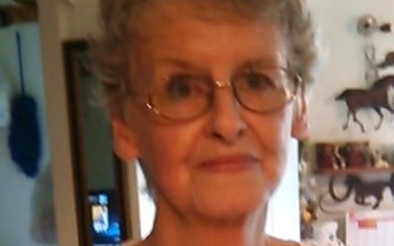 Article Image Alt Text