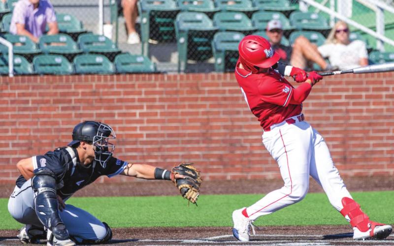 Article Image Alt Text