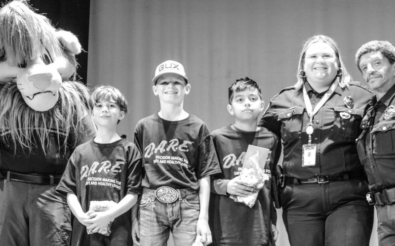 Article Image Alt Text