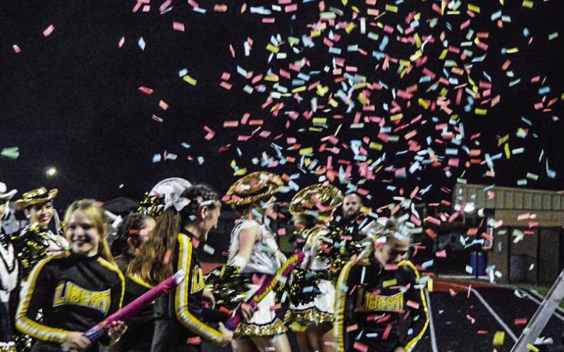 Article Image Alt Text