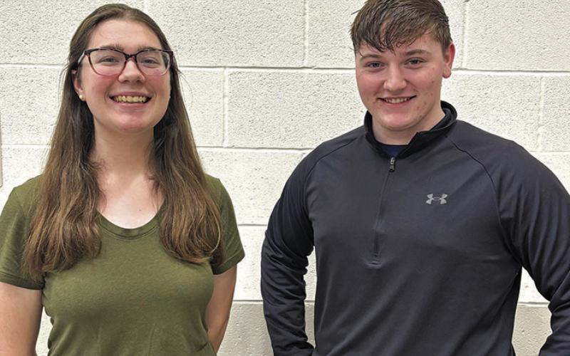 Article Image Alt Text