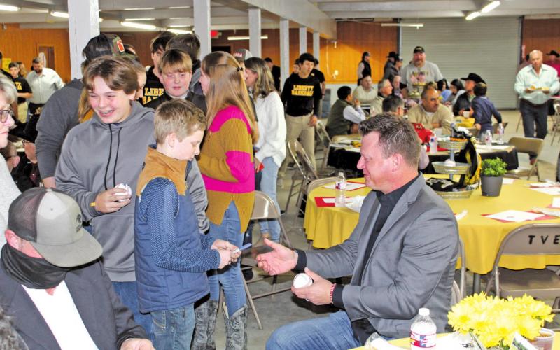 Article Image Alt Text