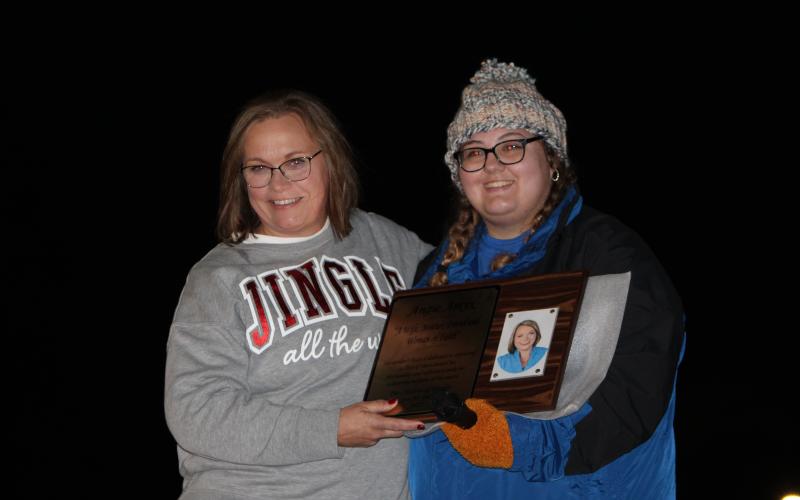 Article Image Alt Text