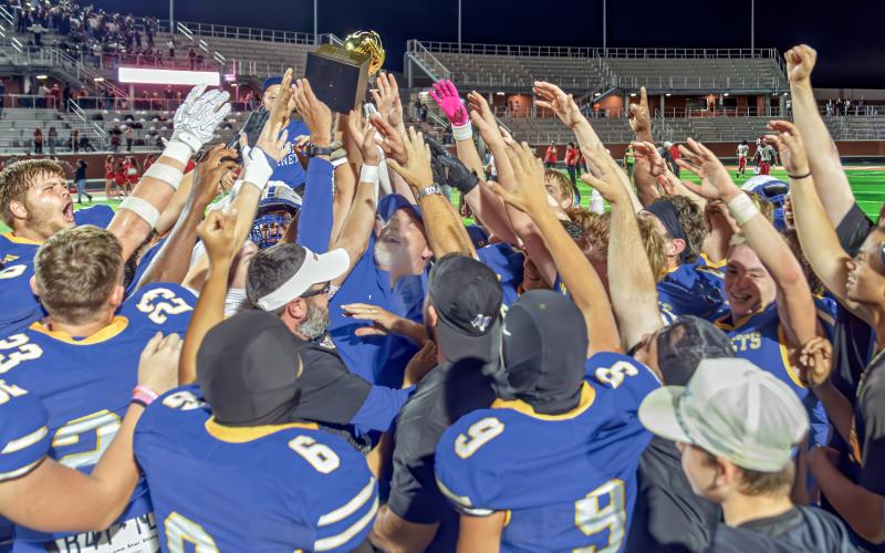 Article Image Alt Text