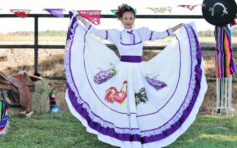 Article Image Alt Text