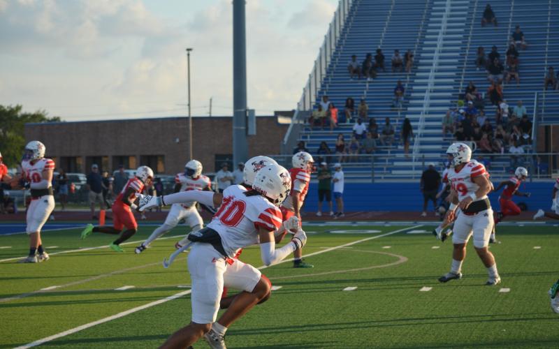 Article Image Alt Text