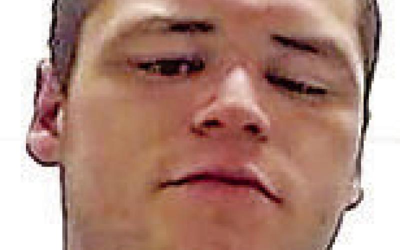 Article Image Alt Text