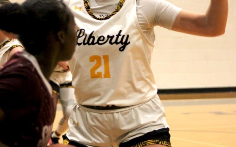 Article Image Alt Text