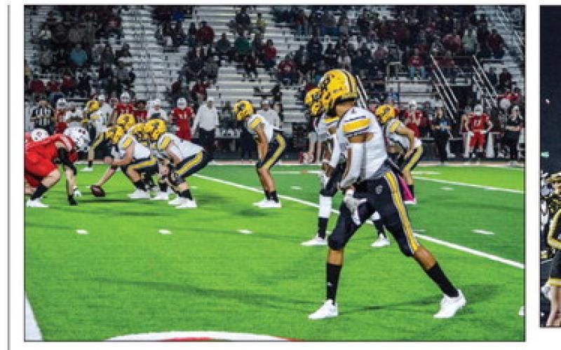 Article Image Alt Text