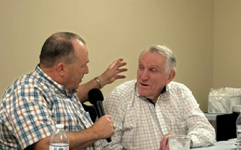 Article Image Alt Text