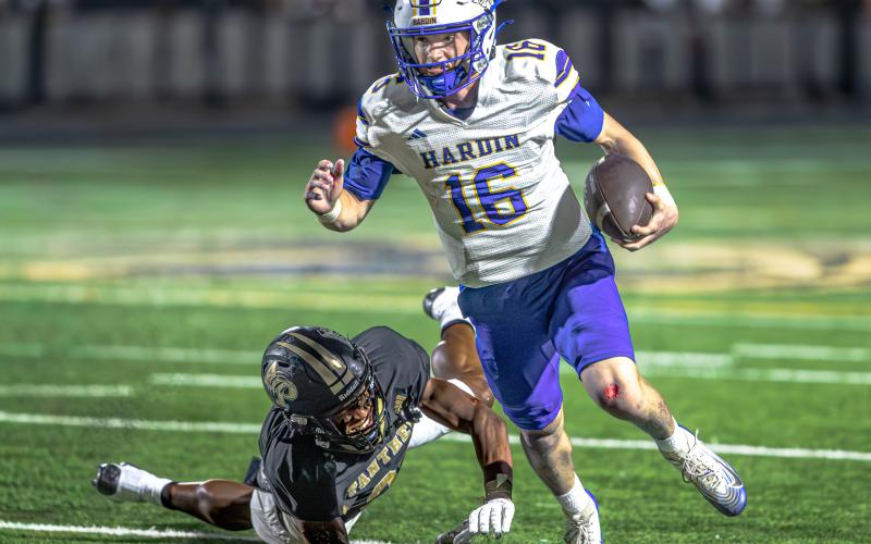 Article Image Alt Text