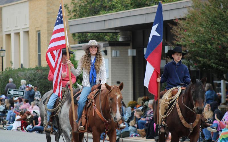 Article Image Alt Text