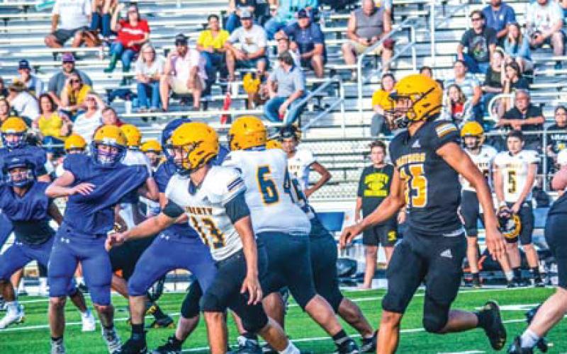 Article Image Alt Text