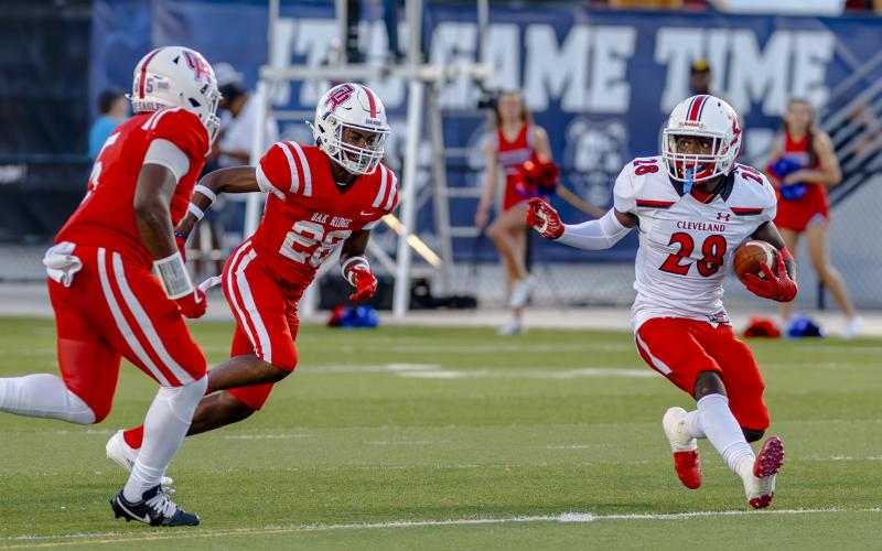 Article Image Alt Text