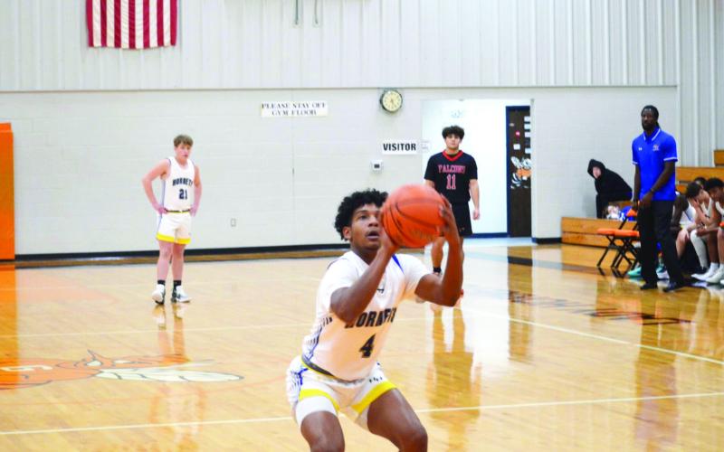 Article Image Alt Text