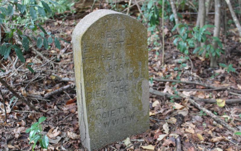 Article Image Alt Text