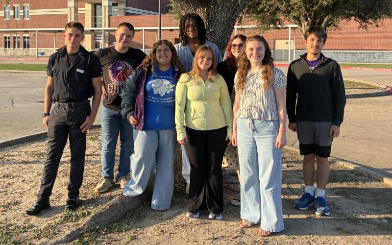 Article Image Alt Text