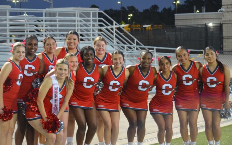 Article Image Alt Text