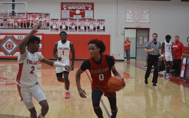 Article Image Alt Text