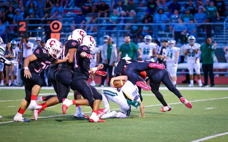 Article Image Alt Text