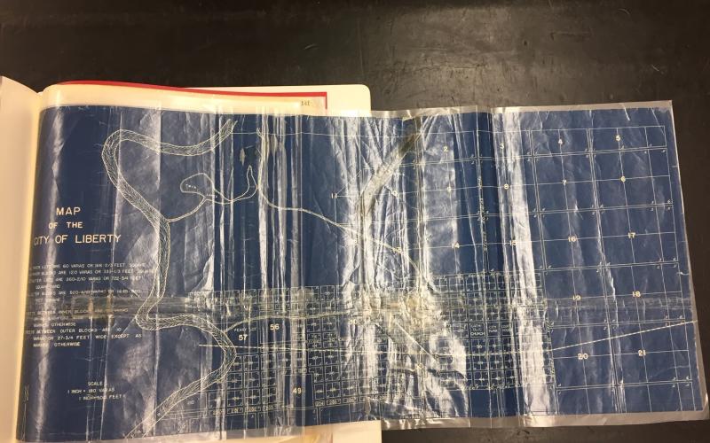 Article Image Alt Text