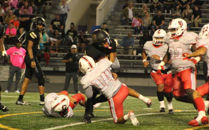 Article Image Alt Text