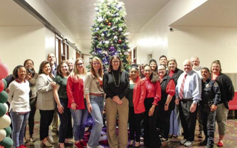 Article Image Alt Text