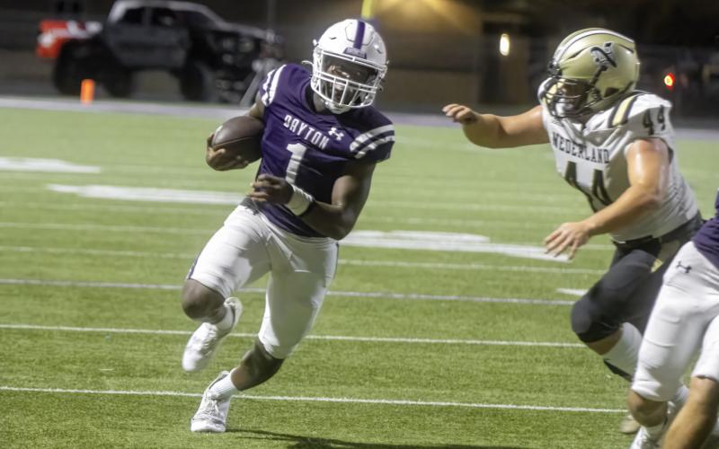 Article Image Alt Text