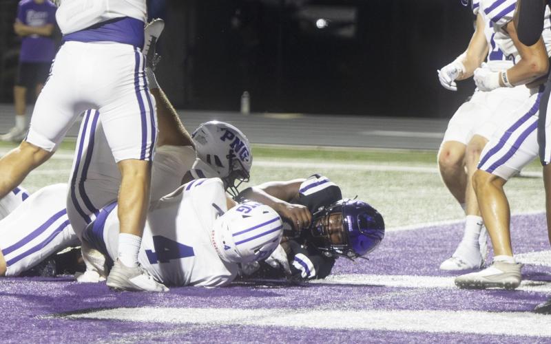 Article Image Alt Text