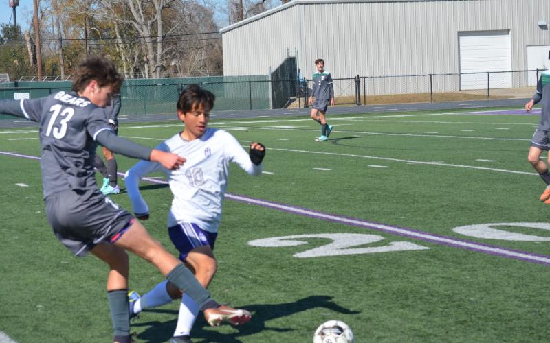 Article Image Alt Text