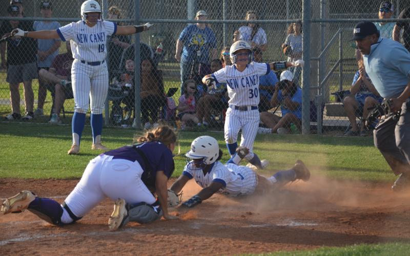 Article Image Alt Text