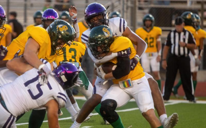 Article Image Alt Text