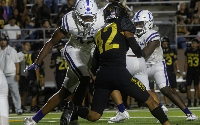 Article Image Alt Text