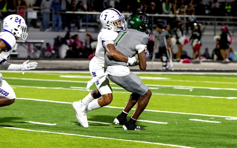 Article Image Alt Text