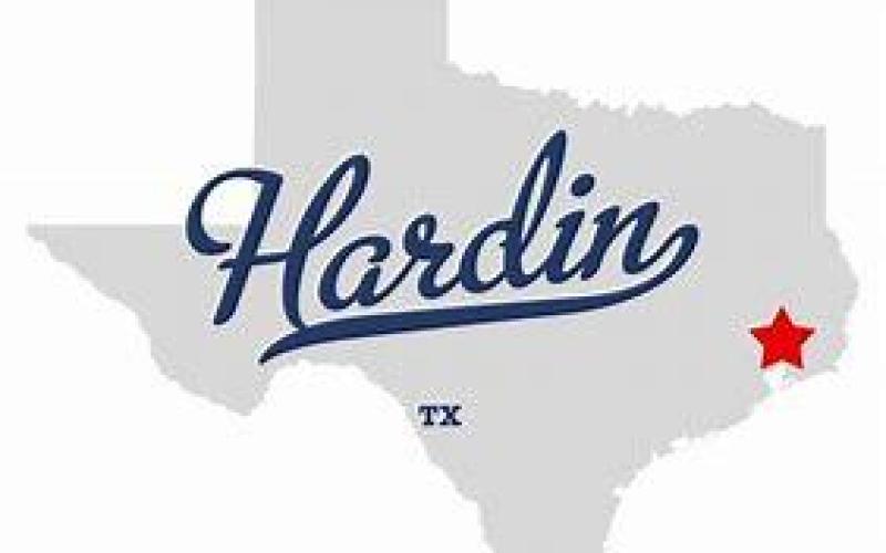 Article Image Alt Text