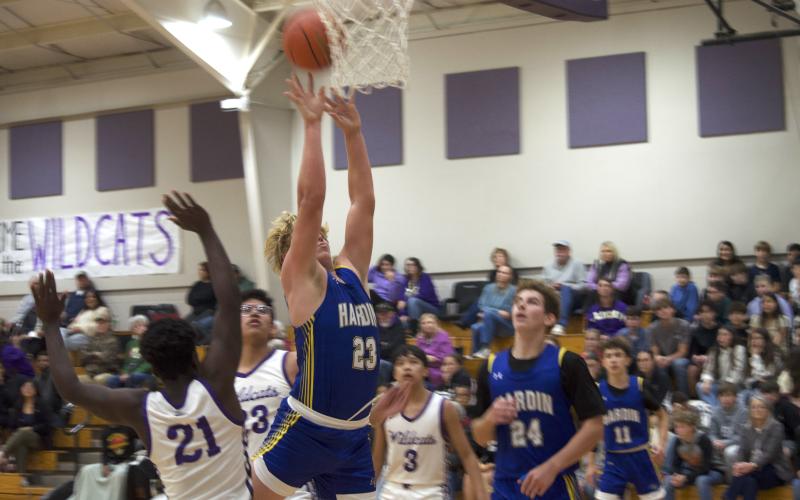 Article Image Alt Text