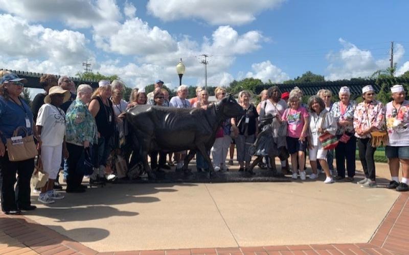 Article Image Alt Text